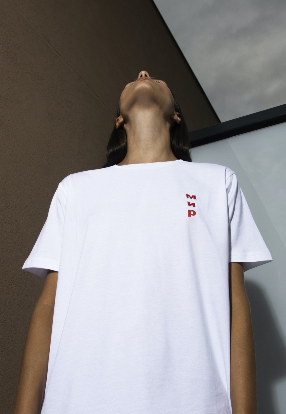 T-Shirt МИР