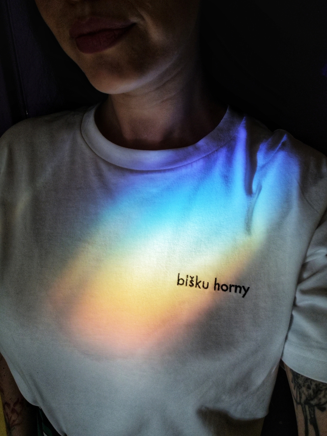 T-Shirt BIŠKU HORNY